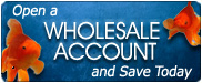 Wholesale Accounts