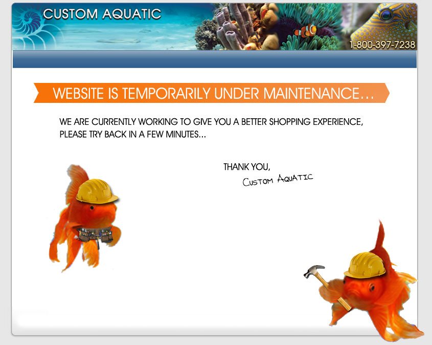 Website Under Construction